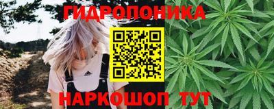 амф Будённовск