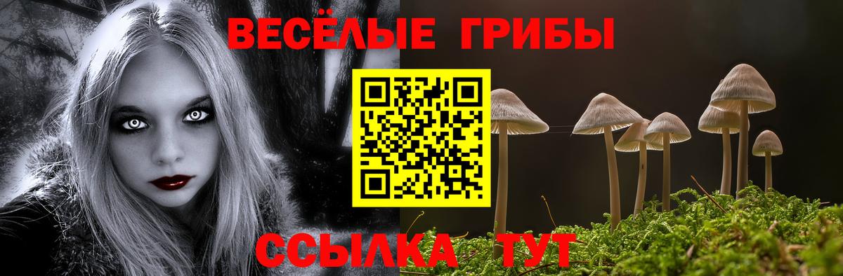 Галлюциногенные грибы мухоморы Симферополь